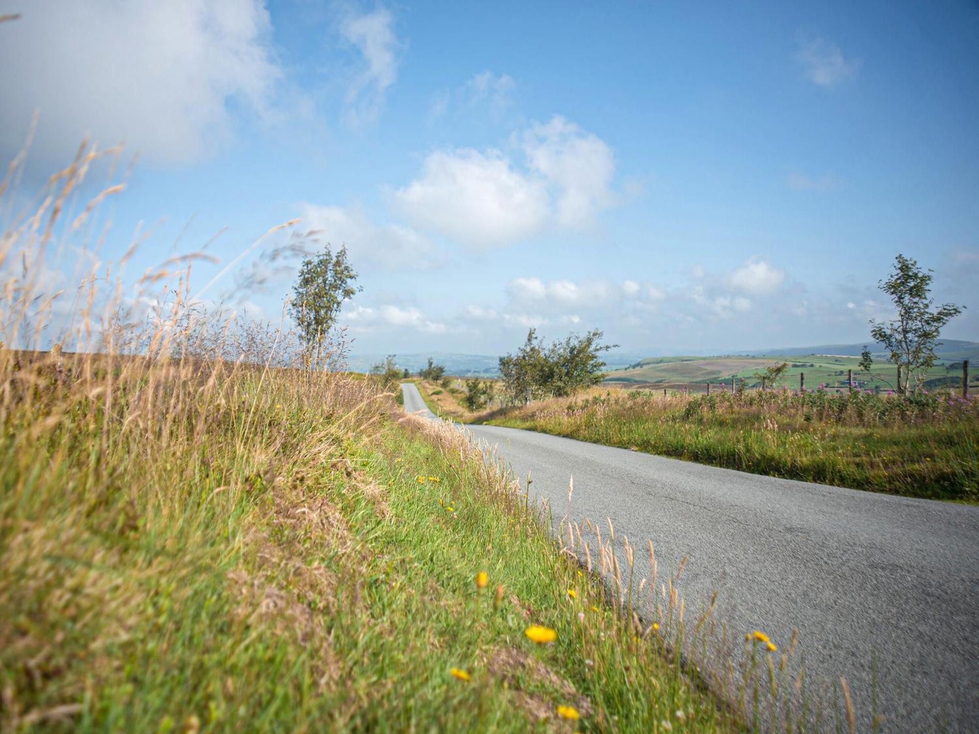 Dol Y Mynydd The Mountain Meadow-qu7521 Llangerniew