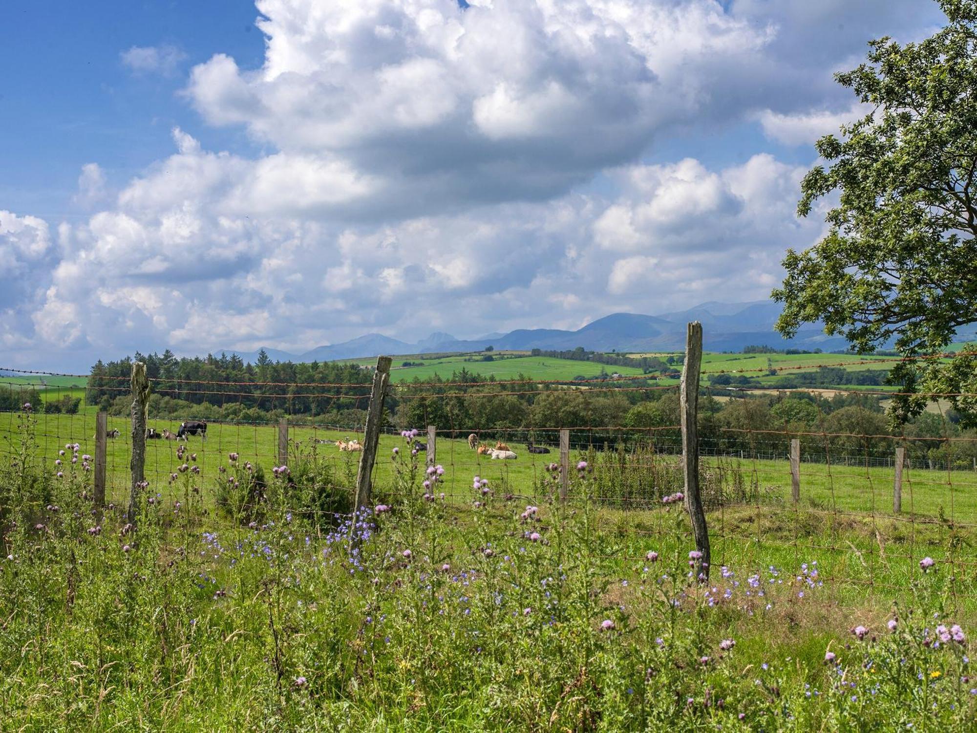 Holiday home Dol Y Mynydd The Mountain Meadow-qu7521 Llangerniew
